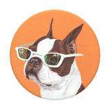 PopSockets PopTop Ginger