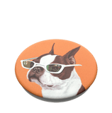 PopSockets PopTop Ginger