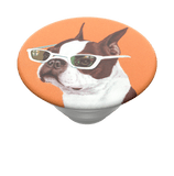 PopSockets PopTop Ginger