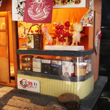 Chaoyang Grocery Store DIY Miniature Dollhouse