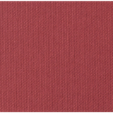 Cricut Cardstock Antiquity 12x12