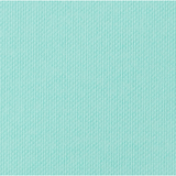 Cricut Cardstock Antiquity 12x12