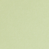 Cricut Cardstock Wildflower 12x24