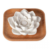 Plant Therapy Essential Oils Passive Lotus Diffuser
