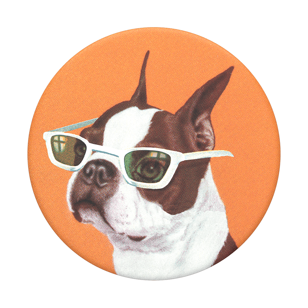 PopSockets PopTop Ginger