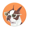 PopSockets PopTop Ginger