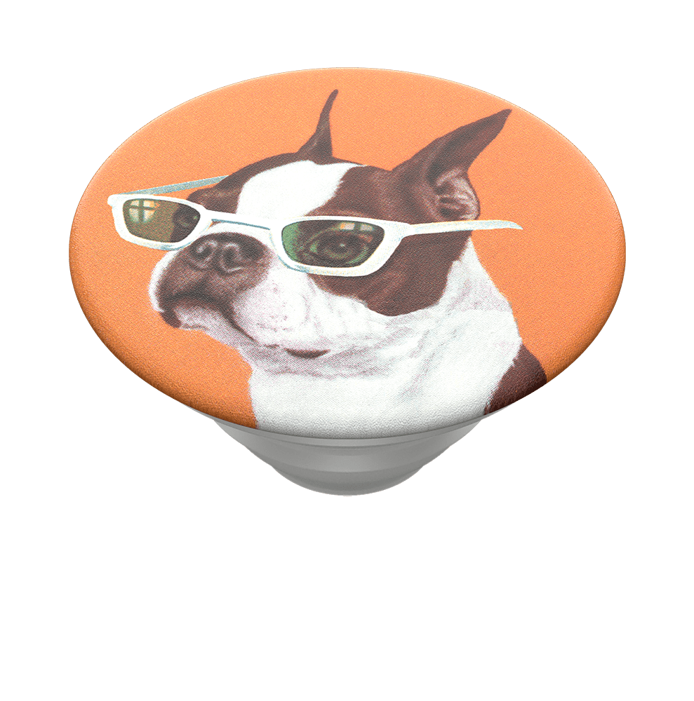 PopSockets PopTop Ginger