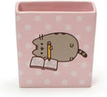 Pusheen the Cat Pencil Holder