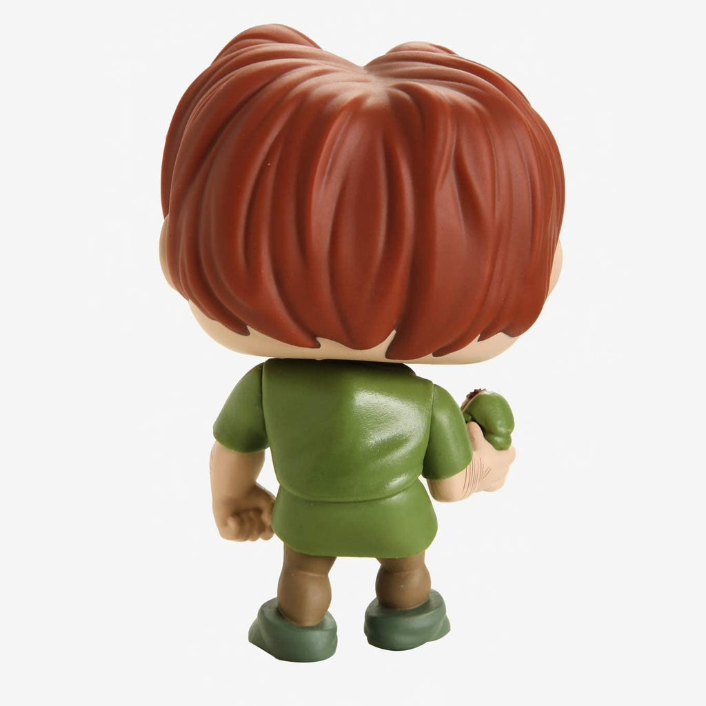Hunchback of Notre Dame Quasimodo Funko Pop! Vinyl Figure