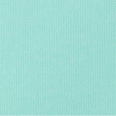 Cricut Cardstock Antiquity 12x12
