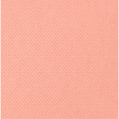 Cricut Cardstock Antiquity 12x12