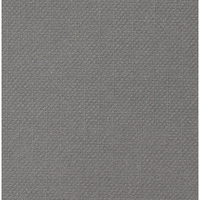 Cricut Cardstock Antiquity 12x12