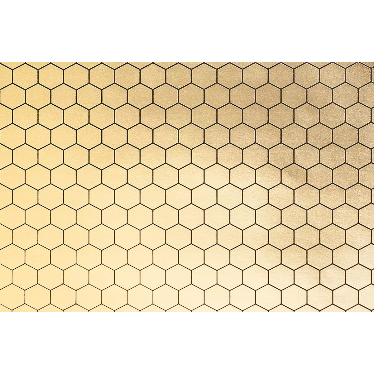 Cricut® Foil Embossed Paper - Gold/Black