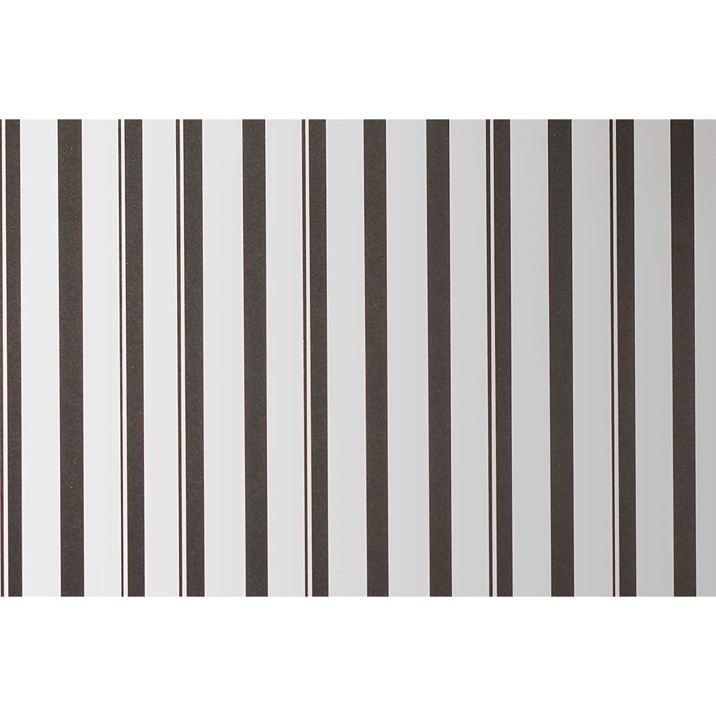 Cricut® Foil Embossed Paper - Silver/Black