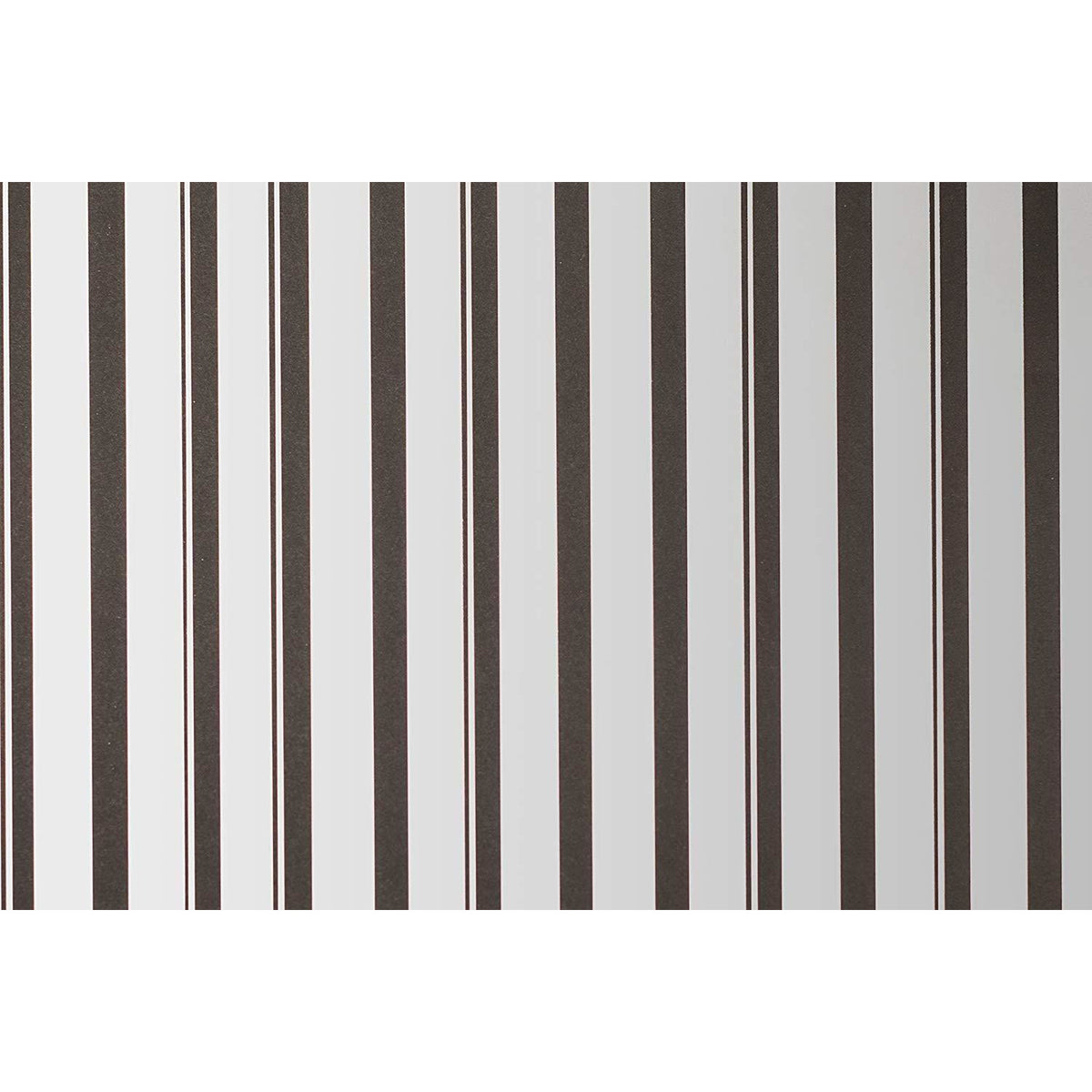 Cricut® Foil Embossed Paper - Silver/Black
