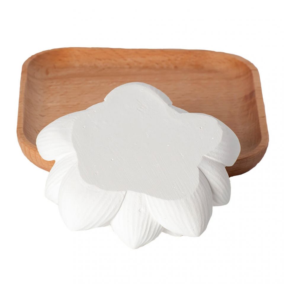 Plant Therapy Essential Oils Passive Lotus Diffuser