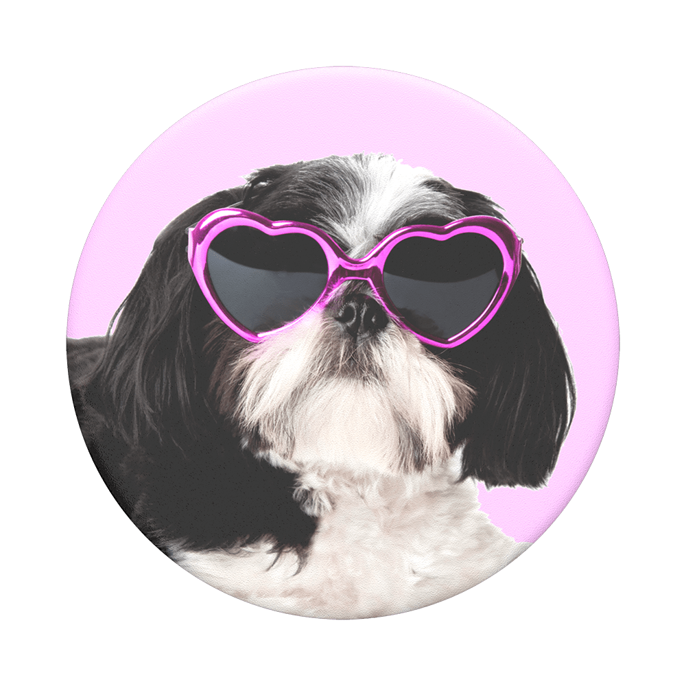PopTop Sassy Shih Tzu