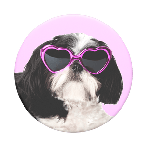 PopTop Sassy Shih Tzu