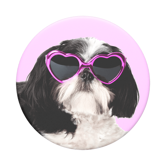 PopTop Sassy Shih Tzu