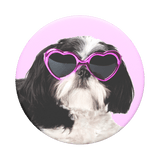 PopTop Sassy Shih Tzu