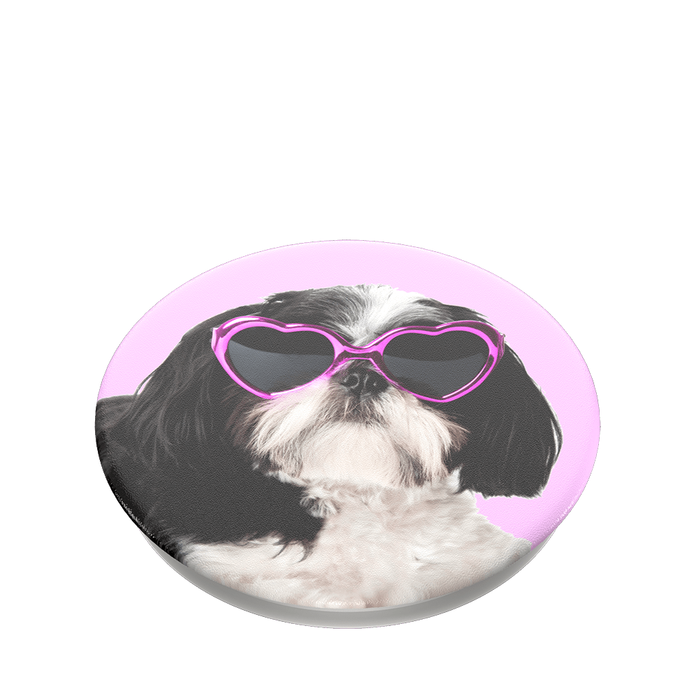 PopTop Sassy Shih Tzu
