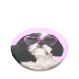 PopTop Sassy Shih Tzu