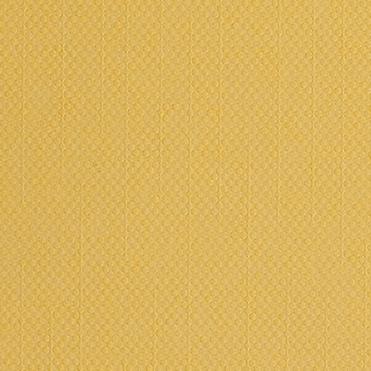 Cricut Cardstock Southwest 12x12