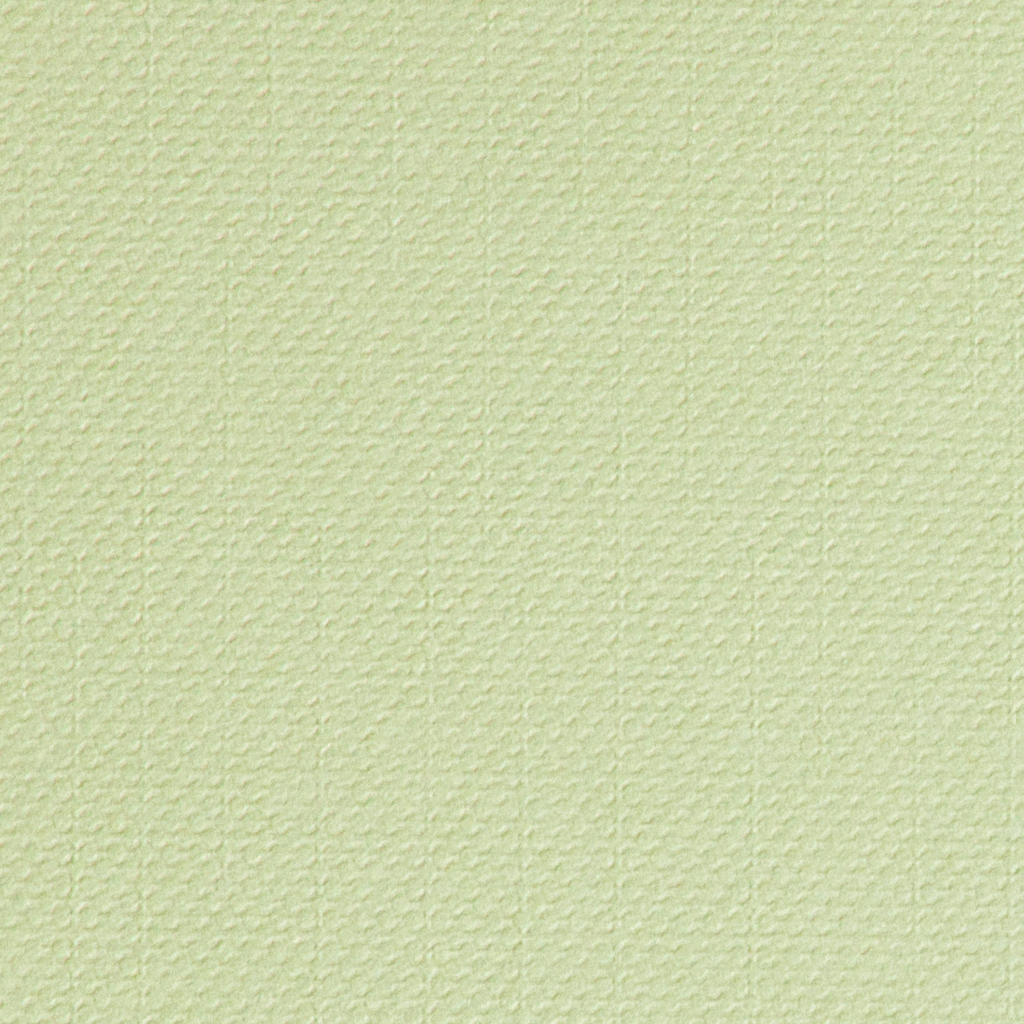 Cricut® Cardstock Wildflower 12x12
